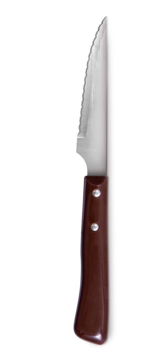 Cuchillo trinchero mango plastico
